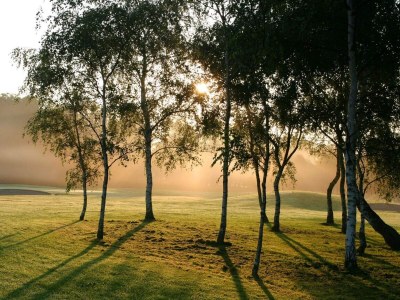 Holiday house 6 person holiday home in Stubbekøbing-By Traum - Outdoor photo 37