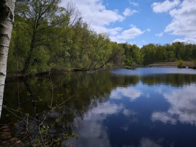 Holiday house 6 person holiday home in Stubbekøbing-By Traum - Outdoor photo 39
