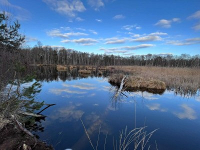 Holiday house 6 person holiday home in Stubbekøbing-By Traum - Outdoor photo 40
