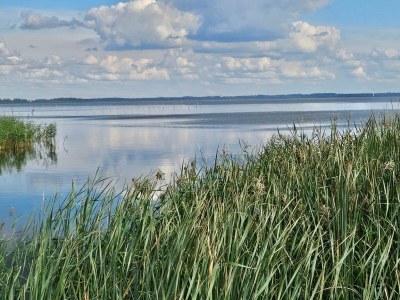 Holiday house 6 Personen Ferienhaus in Ulfborg-By Traum - Outdoor photo 30