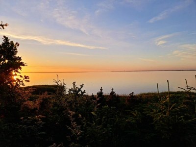 Holiday house 6 Personen Ferienhaus in Ulfborg-By Traum - Outdoor photo 35