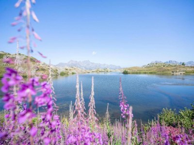 Chalet Chalet in Huez nahe Skipiste - Environment photo 16