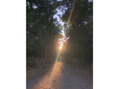 Holiday apartment Villa-Kaethe, Kuehlungsborn,at the Baltic Sea - Outdoor photo 7