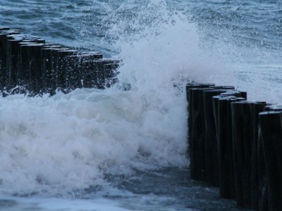 Holiday apartment Villa-Kaethe, Kuehlungsborn,at the Baltic Sea - Environment photo 23