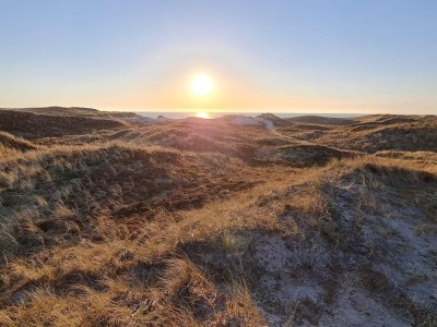 Holiday house 8 Personen Ferienhaus in Ringkøbing-By Traum - Outdoor photo 11