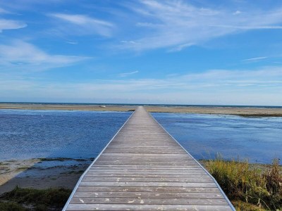 Holiday house 8 person holiday home in Hadsund-By Traum - Outdoor photo 39