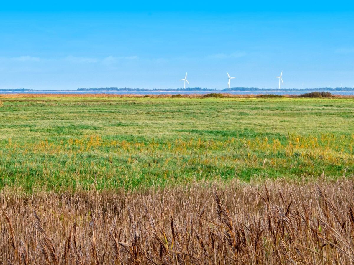 Holiday house 8 person holiday home in Ulfborg-By Traum - Outdoor photo 5