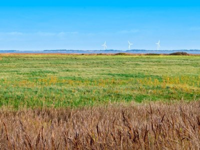 Holiday house 8 person holiday home in Ulfborg-By Traum - Outdoor photo 5