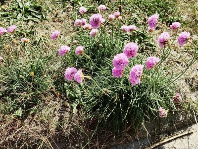 Holiday house 8 person holiday home in Ulfborg-By Traum - Outdoor photo 26