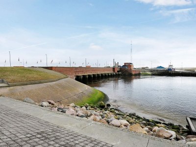 Holiday house 8 person holiday home in Ulfborg-By Traum - Outdoor photo 31