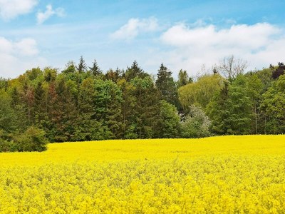 Holiday house 18 person holiday home in Hasselberg - Outdoor photo 6