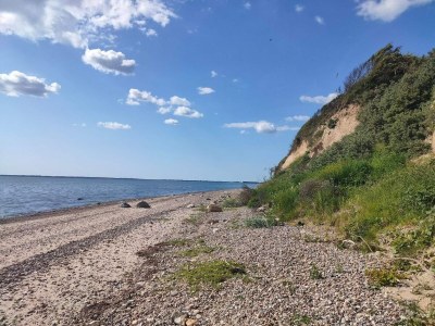 Holiday house Rustikale Ruckzug in Gettrup -- By Traum Ferienwohnungen - Outdoor photo 35