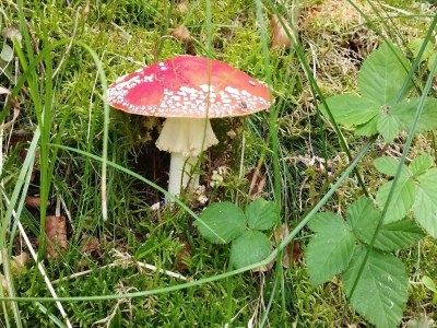 Holiday house 6 Personen Ferienhaus in Hadsund - Outdoor photo 12