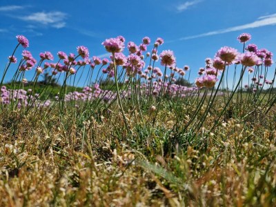 Holiday house Luxury Eco Cottage in Klitmoller - By Traum Ferienwohnungen - Outdoor photo 39