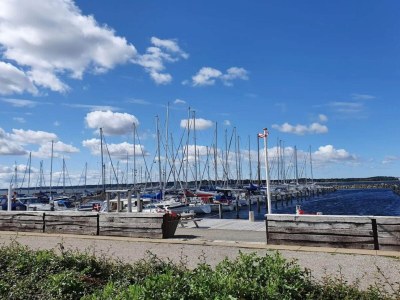 Holiday house Luxury Retreat with Pool - By Traum Ferienwohnungen - Outdoor photo 17