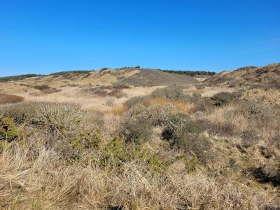 Holiday house Gemutliches Strandhaus mit Blick -- By Traum Ferienwohnungen - Outdoor photo 21