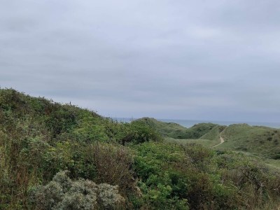 Holiday house Gemutliches Strandhaus mit Blick -- By Traum Ferienwohnungen - Outdoor photo 24