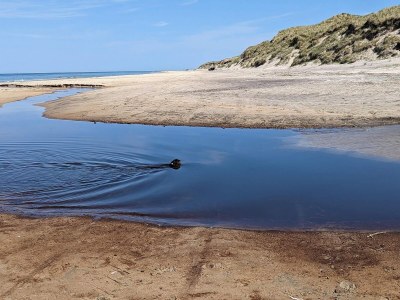 Holiday house Gemutliches Strandhaus mit Blick -- By Traum Ferienwohnungen - Outdoor photo 30