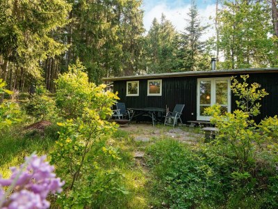 Holiday house 4 Personen Ferienhaus in Bryrup-By Traum - Outdoor photo 18