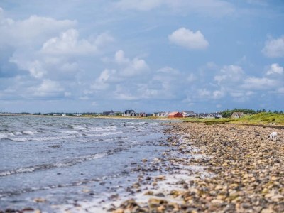 Holiday house 12 person holiday home in Vestervig-By Traum - Outdoor photo 32