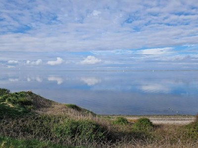 Holiday house 12 person holiday home in Vestervig-By Traum - Outdoor photo 45