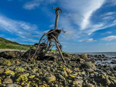 Holiday house 12 person holiday home in Vestervig-By Traum - Outdoor photo 46