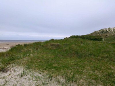 Holiday house Gemutliches Refugium in Sonderho -- By Traum Ferienwohnungen - Outdoor photo 15