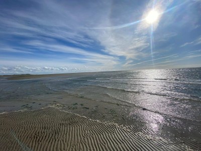 Holiday house Gemutliches Refugium in Sonderho -- By Traum Ferienwohnungen - Outdoor photo 16