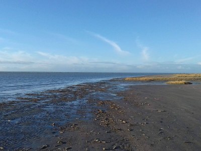 Holiday house Gemutliches Refugium in Sonderho -- By Traum Ferienwohnungen - Outdoor photo 21