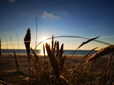 Holiday house Luxury Beachfront Retreat - By Traum Ferienwohnungen - Outdoor photo 7