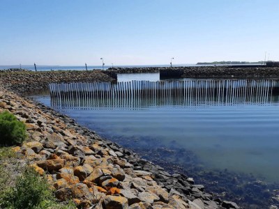 Holiday house 10 person holiday home in Thyholm-By Traum - Outdoor photo 23