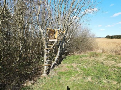 Holiday house 10 person holiday home in Thyholm-By Traum - Outdoor photo 42