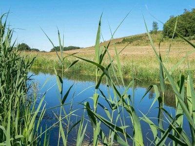Holiday house 6 Personen Ferienhaus in Brædstrup-By Traum - Outdoor photo 8