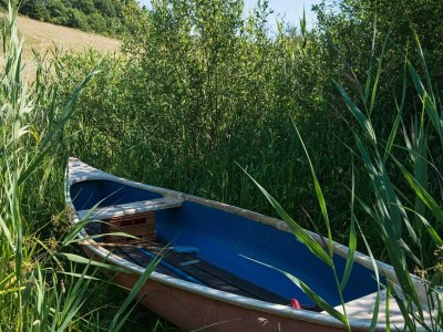 Holiday house 6 Personen Ferienhaus in Brædstrup-By Traum - Outdoor photo 10