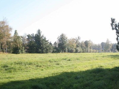 Holiday house 8 person holiday home in Rødby-By Traum - Outdoor photo 17