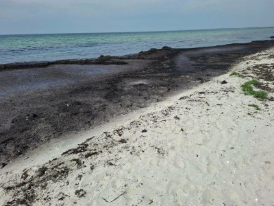 Holiday house 8 person holiday home in Rødby-By Traum - Outdoor photo 38