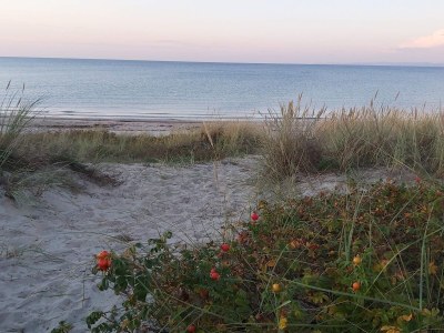 Holiday house 6 person holiday home in Dronningmølle-By Traum - Outdoor photo 12