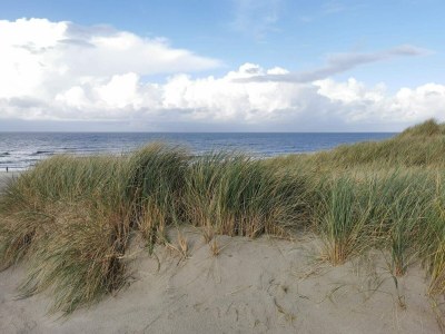 Holiday house 7 person holiday home in Henne-By Traum - Outdoor photo 9