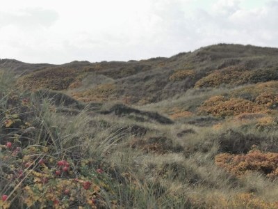 Holiday house 7 person holiday home in Henne-By Traum - Outdoor photo 29