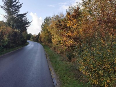 Holiday house 7 person holiday home in Henne-By Traum - Outdoor photo 31