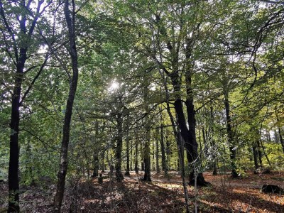 Holiday house 7 person holiday home in Henne-By Traum - Outdoor photo 35