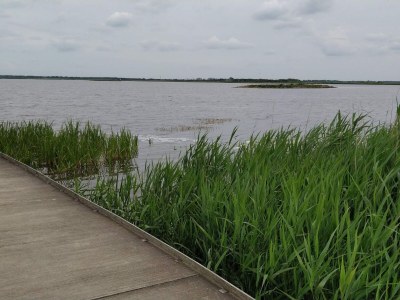 Holiday house 7 person holiday home in Henne-By Traum - Outdoor photo 41