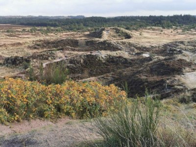 Holiday house 7 person holiday home in Henne-By Traum - Outdoor photo 45