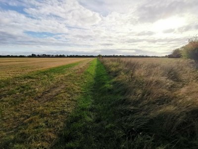 Holiday house 8 Personen Ferienhaus in Rødby-By Traum - Outdoor photo 6
