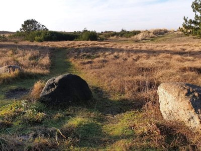 Holiday house Beachfront Bliss - By Traum Ferienwohnungen - Outdoor photo 27