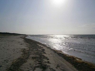 Holiday house Beachfront Bliss - By Traum Ferienwohnungen - Outdoor photo 29