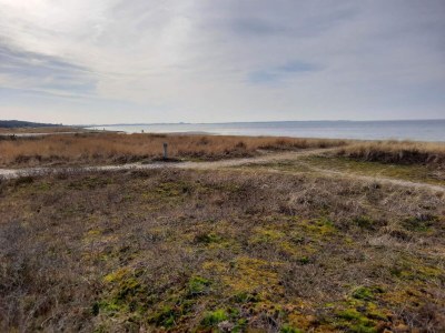Holiday house Beachfront Bliss - By Traum Ferienwohnungen - Outdoor photo 33