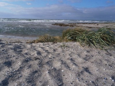 Holiday house Beachfront Bliss - By Traum Ferienwohnungen - Outdoor photo 34