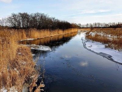 Holiday house Beachfront Bliss - By Traum Ferienwohnungen - Outdoor photo 36