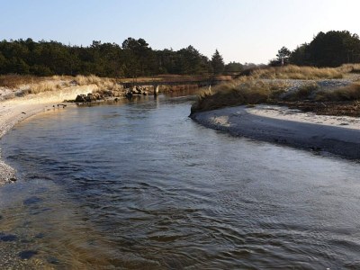Holiday house Beachfront Bliss - By Traum Ferienwohnungen - Outdoor photo 42